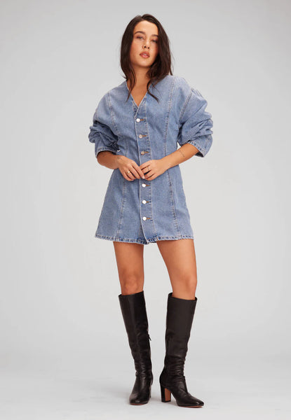 Ryleigh Mini Denim Dress