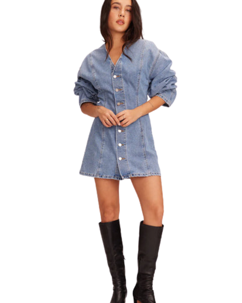 Ryleigh Mini Denim Dress